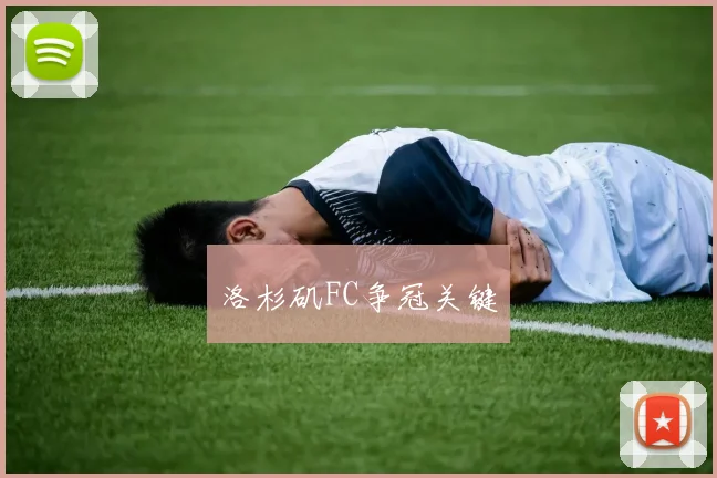 星空online(中国) - 洛杉矶FC争冠关键