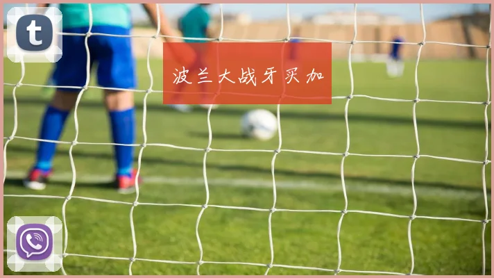 星空online(中国) - 波兰大战牙买加