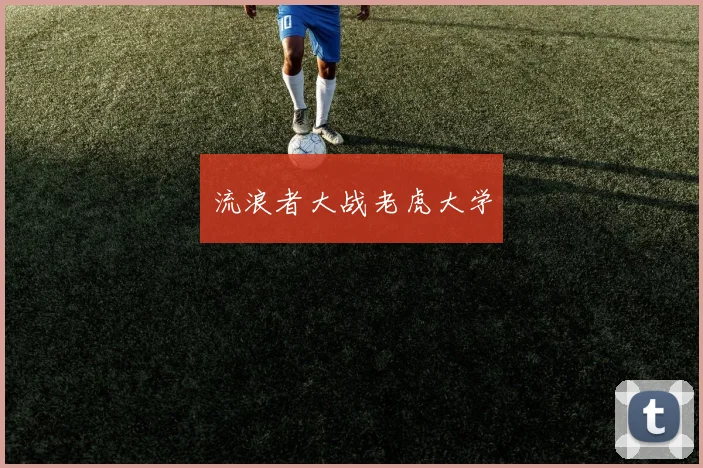 星空online(中国) - 流浪者大战老虎大学