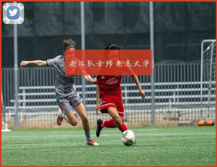 星空online(中国) - 浙江队会师老虎大学