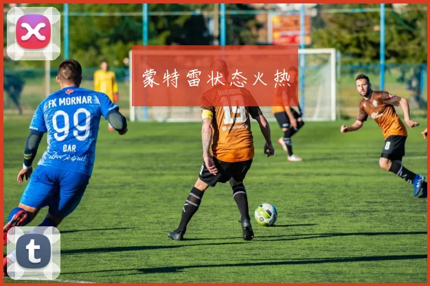 星空online(中国) - 蒙特雷状态火热