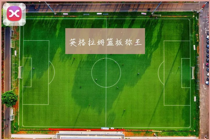 星空online(中国) - 英格拉姆篮板称王