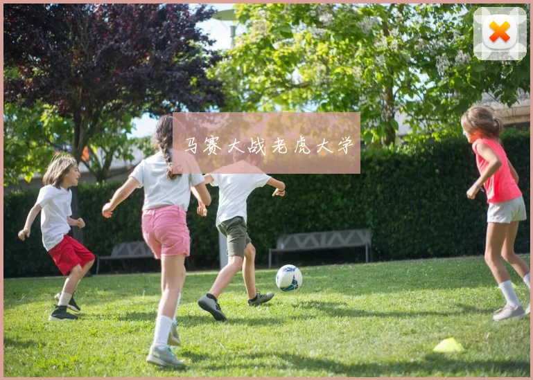 星空online(中国) - 马赛大战老虎大学