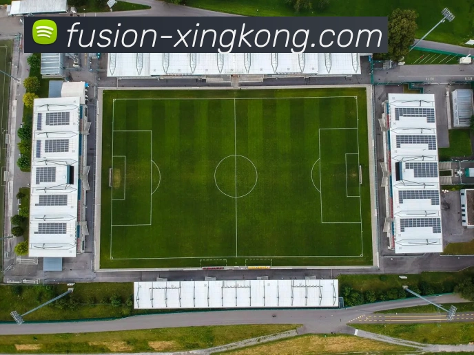 星空online(中国)专业解说