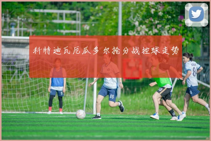 科特迪瓦厄瓜多尔抢分战控球走势