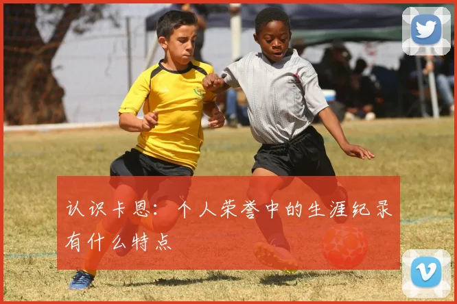 认识卡恩:个人荣誉中的生涯纪录有什么特点