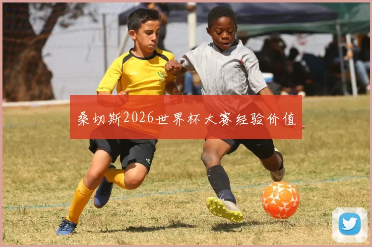 桑切斯2026世界杯大赛经验价值